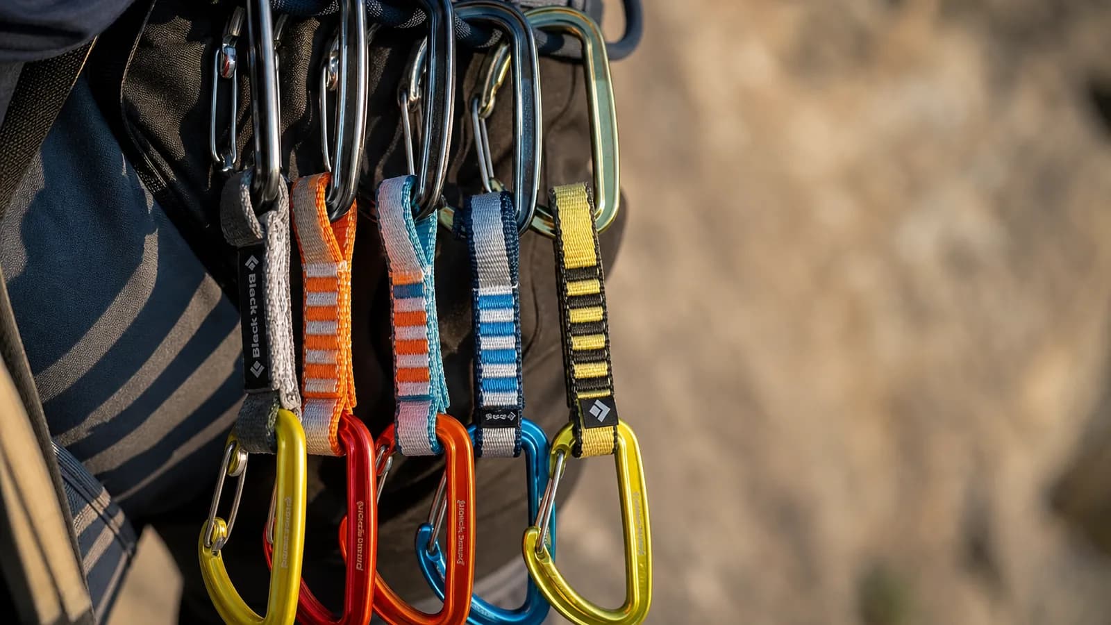 Set de dégaines d'escalade Petzl Djinn Axess organisé sur un baudrier en falaise calcaire